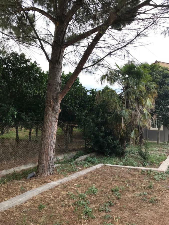 Taygetos Apartamento Sparta Exterior foto